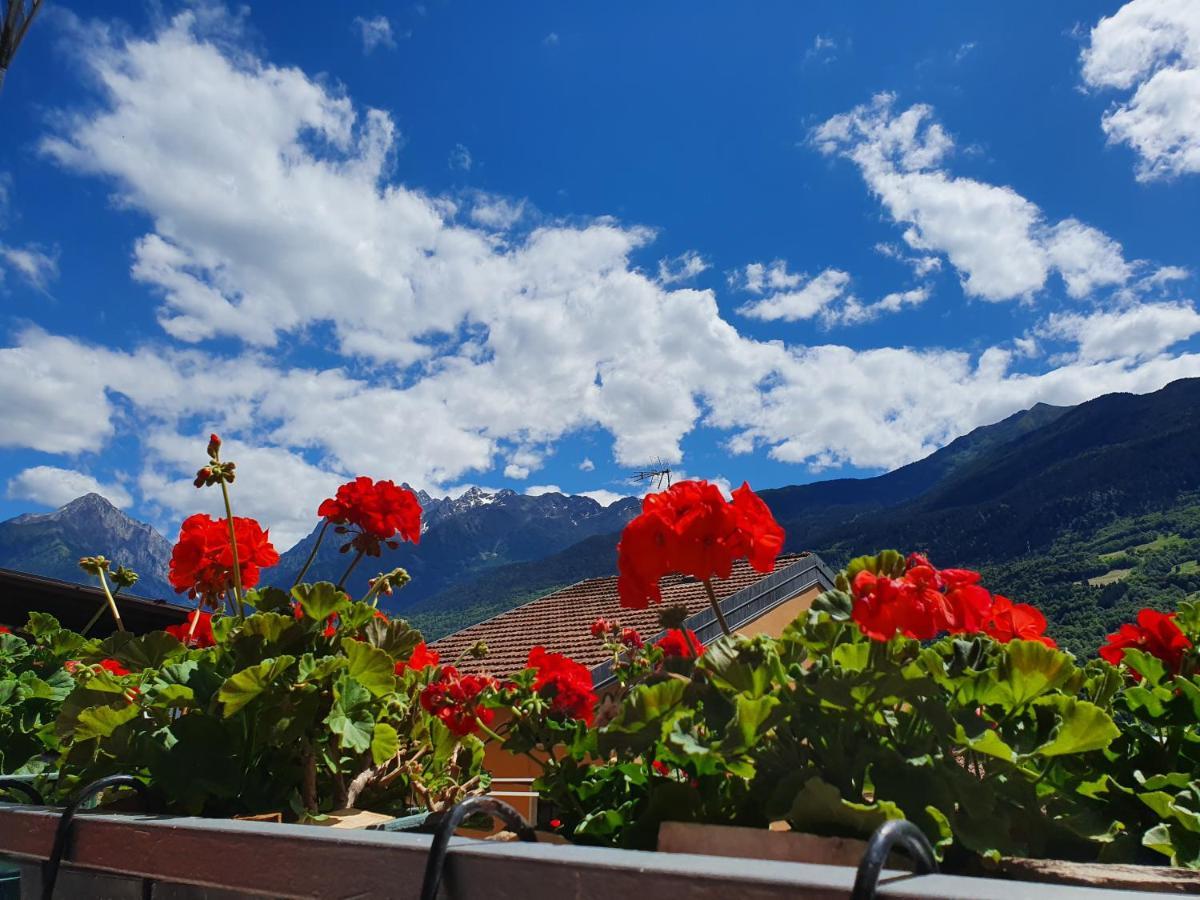 B&B Il Pettirosso Malonno Buitenkant foto